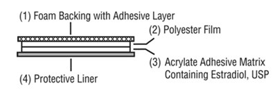Image Of The Four Layers On Estradiol Patch (Estradiol Comprises Four Layers)